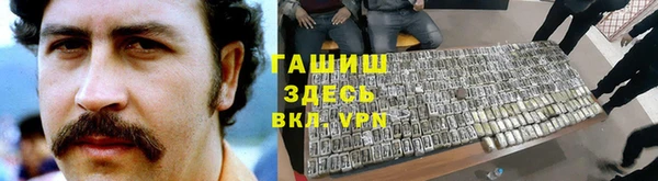 индика Пестово