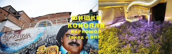 ПСИЛОЦИБИНОВЫЕ ГРИБЫ Алексеевка