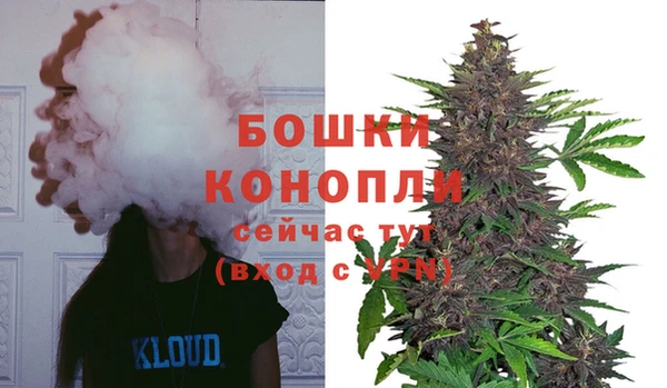 герыч Пересвет