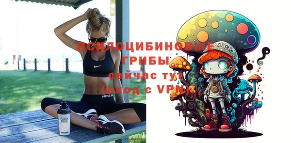 круглые Алзамай