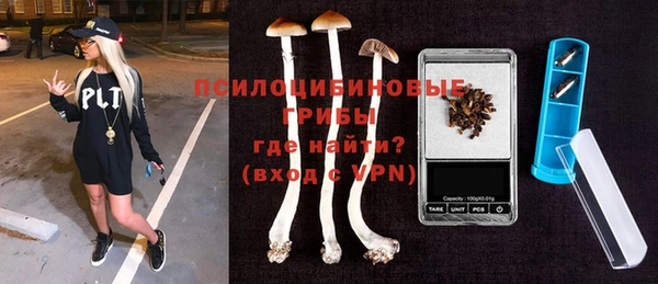ПСИЛОЦИБИНОВЫЕ ГРИБЫ Алексеевка