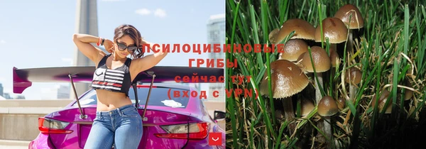 круглые Алзамай
