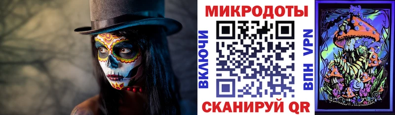 наркошоп  мориарти как зайти  Галлюциногенные грибы Psilocybine cubensis  Сунжа 
