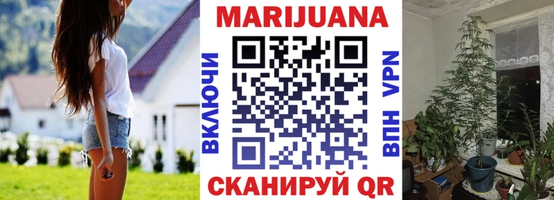 Каннабис индика Сунжа